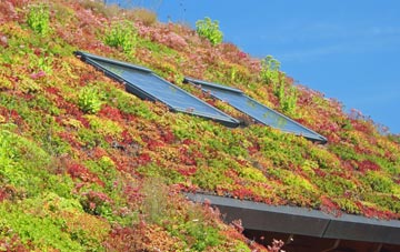 Kirkaton living roof systems